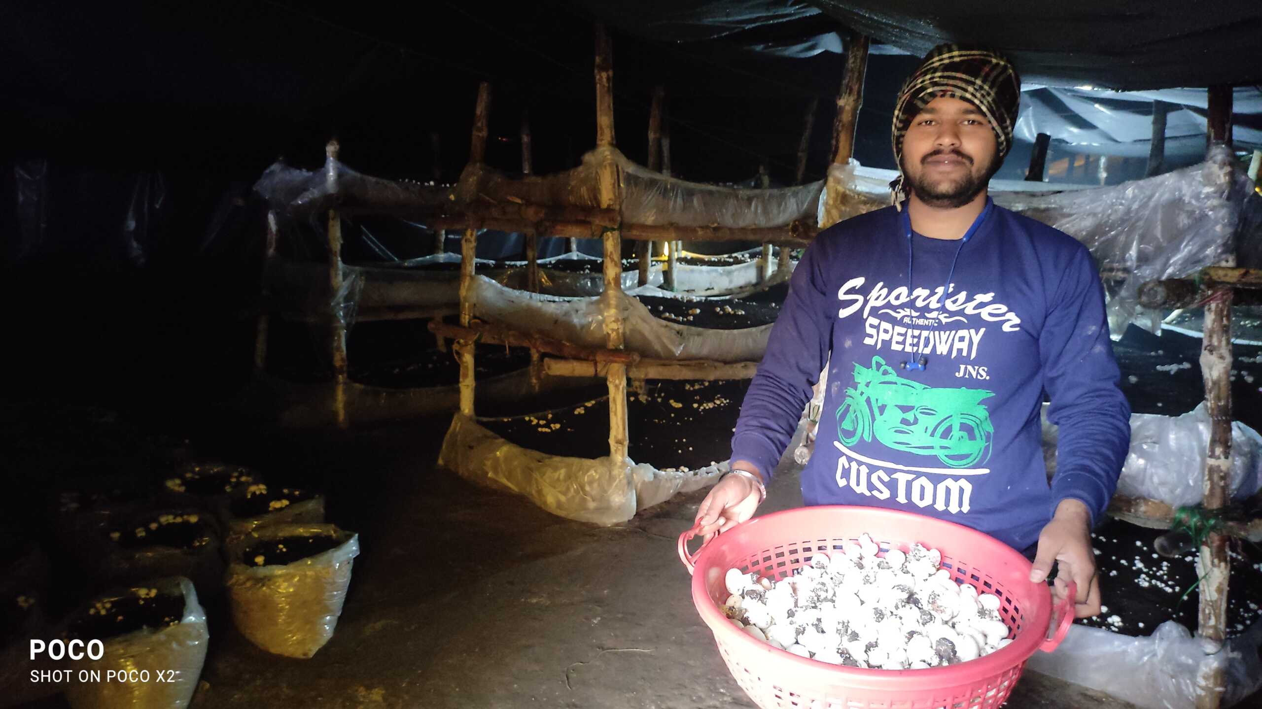 button mushroom farmer