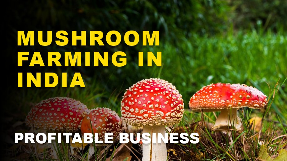 Mushroom farming in India